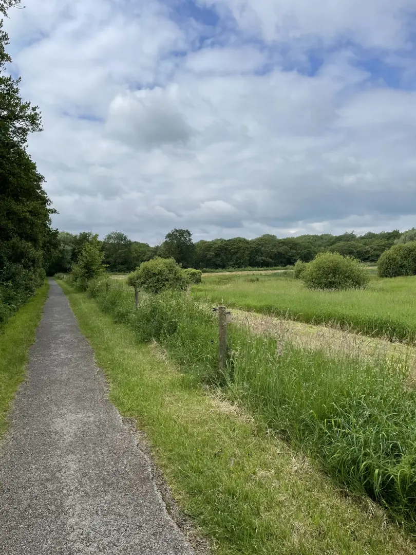 Pad op een dijk met weilanden en hoog gras